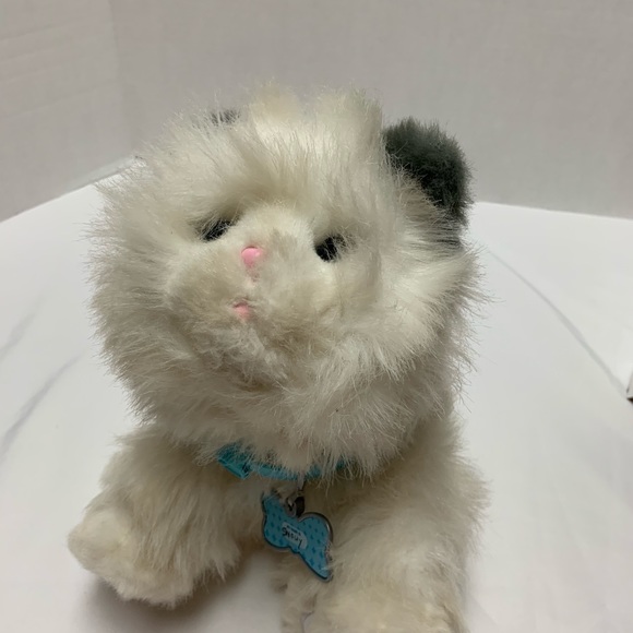 little live pets cuddles my dream kitten